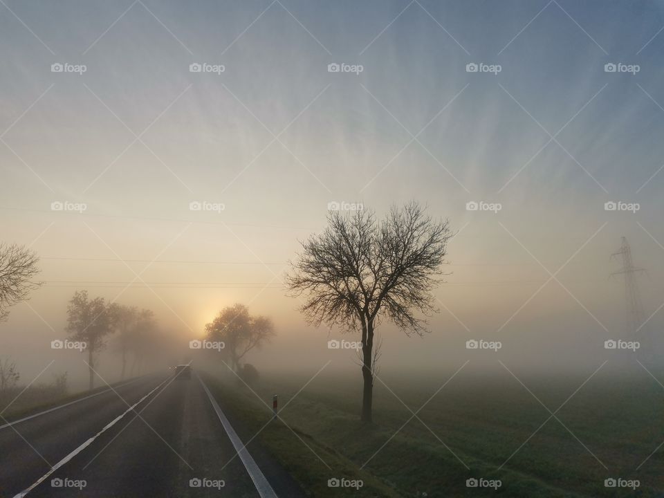 Sunset in fog