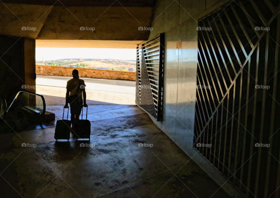 Man with suitcases 