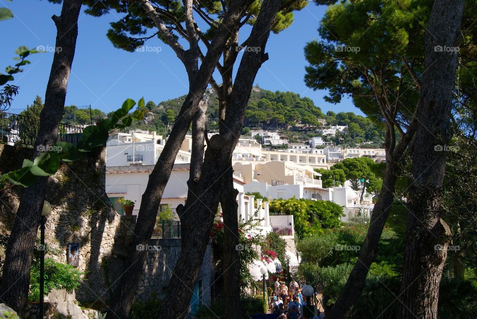 white houses on the mountainside on capri