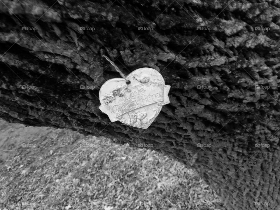 Love grows here. Planted a garden when I was little and decided to take a B&W pic of it