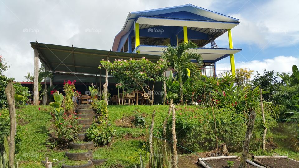 beautiful garden. area in the backyard of a small diner in Costa Rica