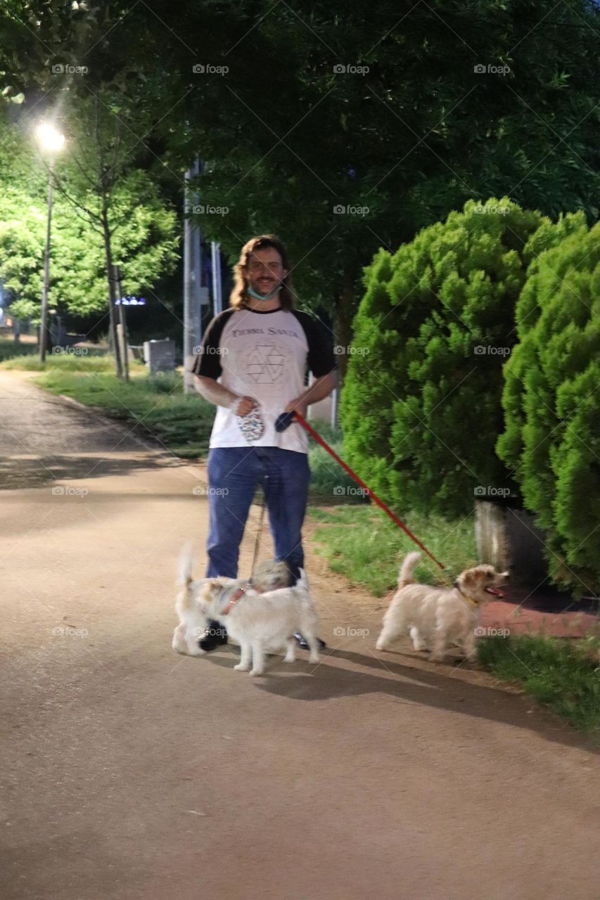 Taking dogs for the walk