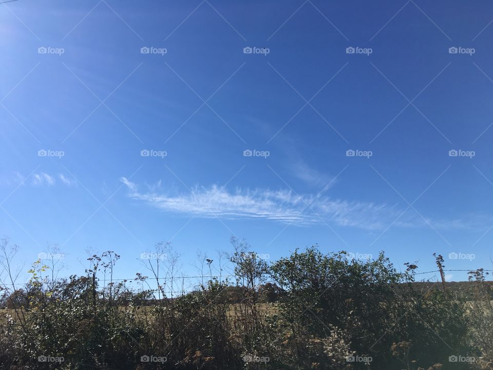 A few feathery clouds just to ad a little color to the blue sky. Such a pretty sky.