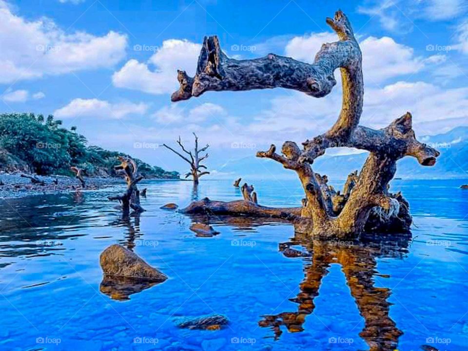 beautiful beaches and blue skies.