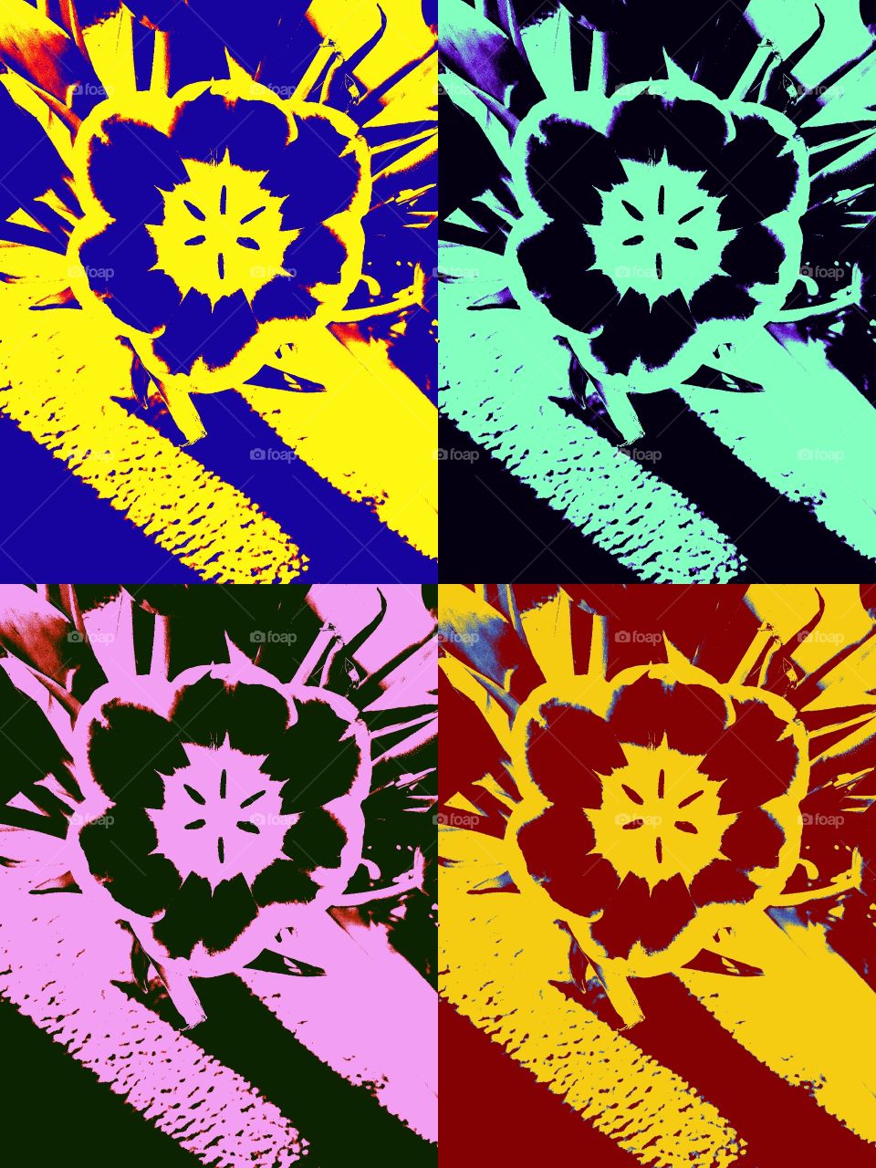 Imagery Art Imagination