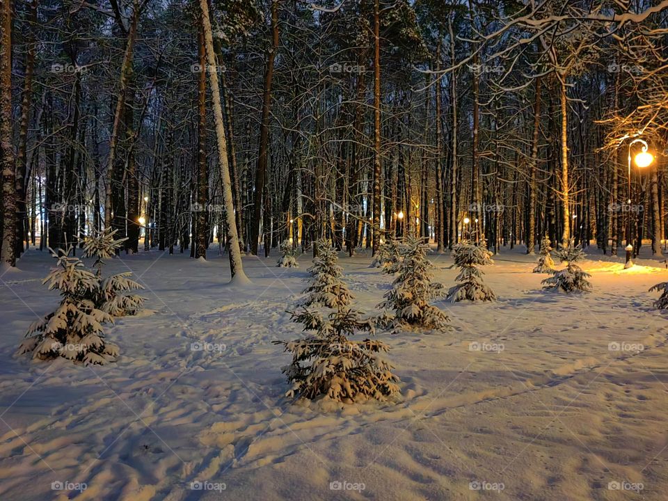Зимний вечер