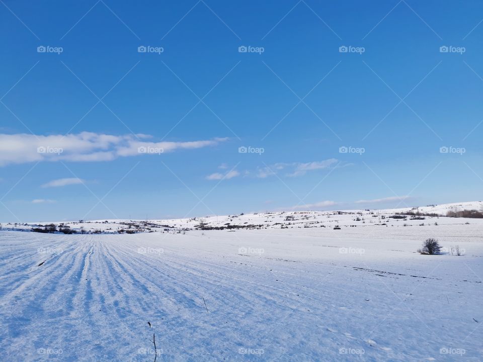 Snow field