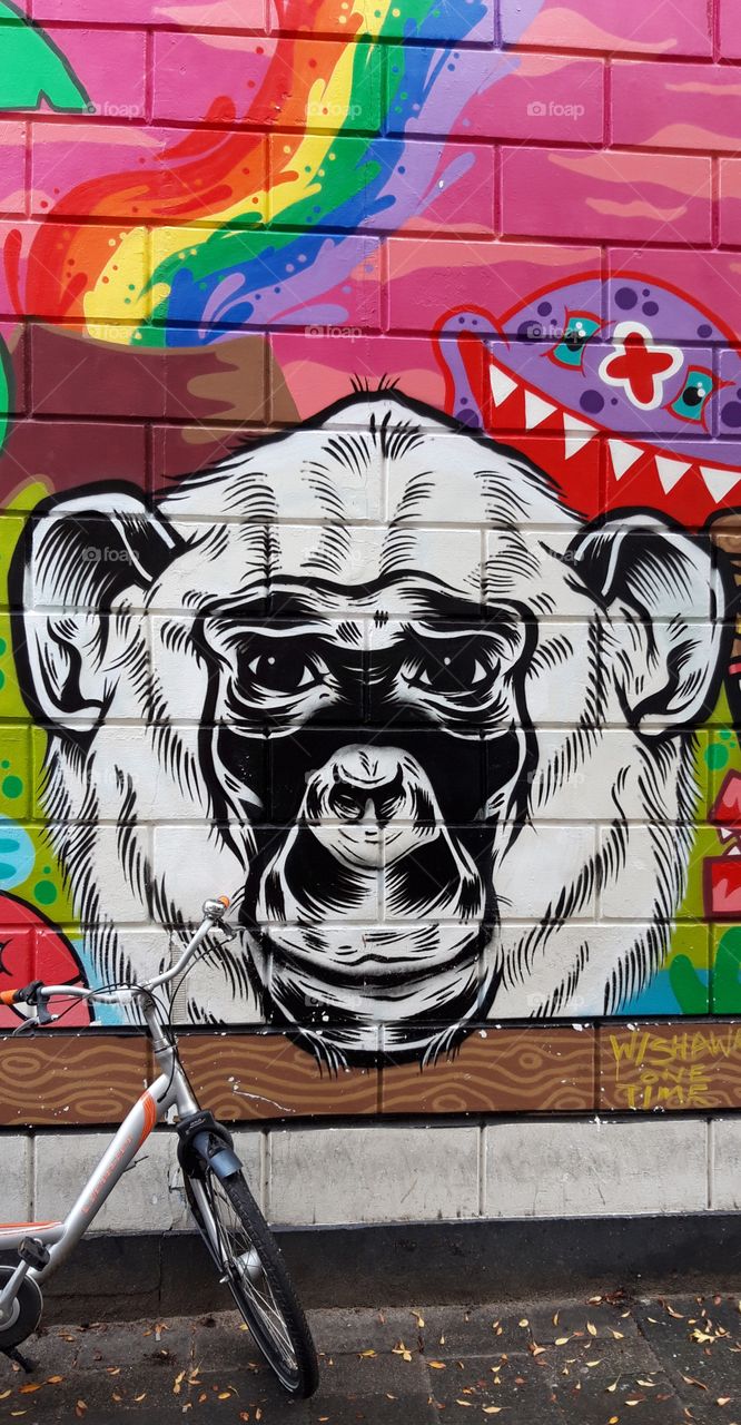 streetart in Rotterdam