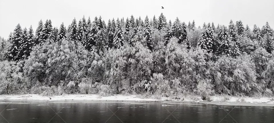 Winter mountains