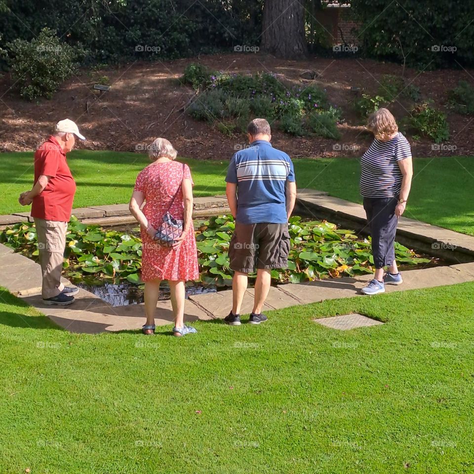 people looking at a pond in sun