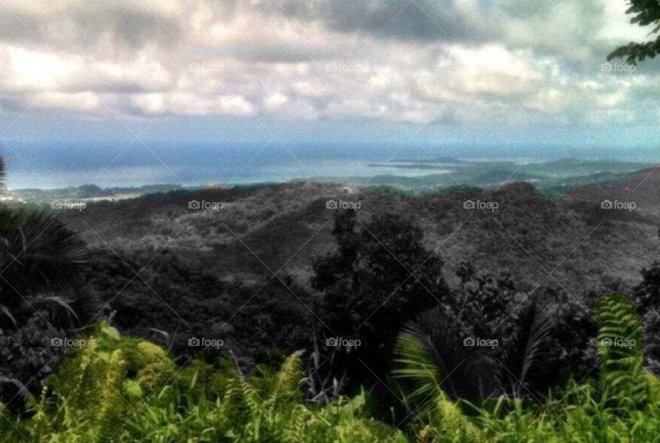 Caribbean View. Beautiful view from top of rain forest in Puerto Rico 