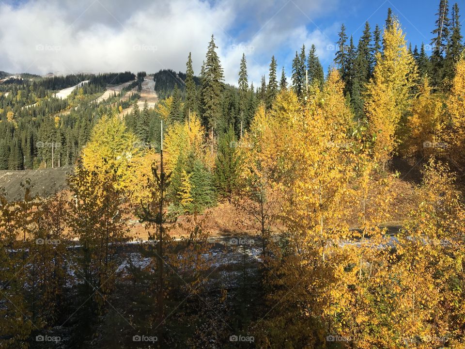 Beautiful autumn day 