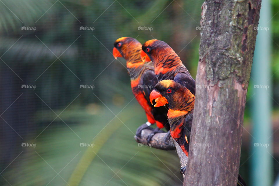 facing the same thing