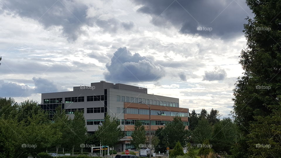 clouds over deyoung