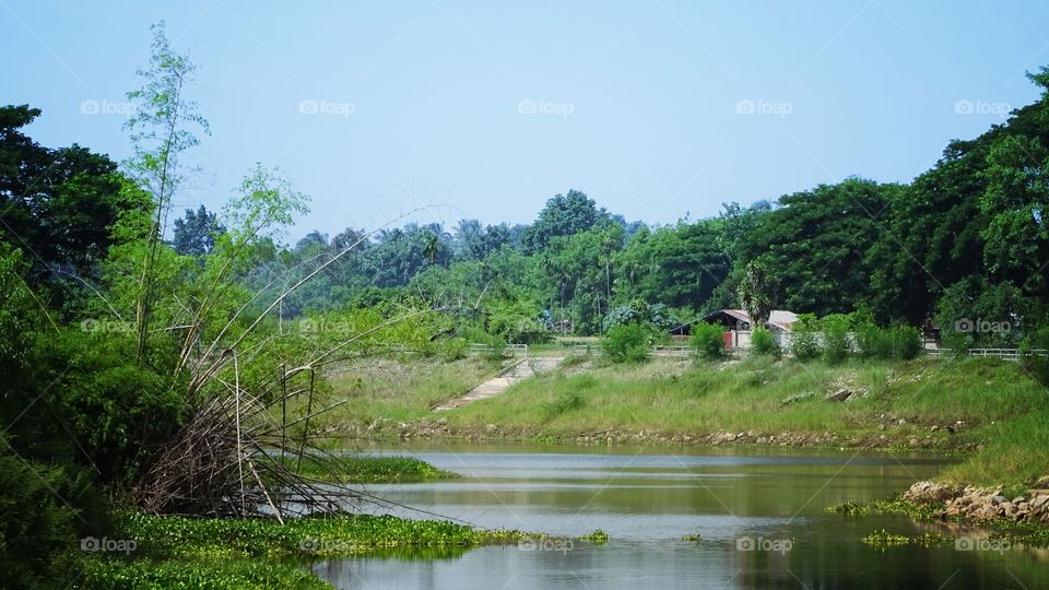 riverside nature . some location riverside at nongkhai city thailand