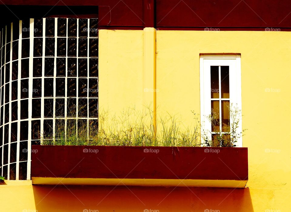 White over yellow. Tiny window at home 