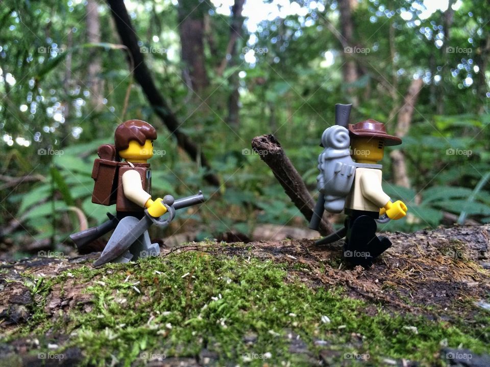 Deep in the wild an adventure takes place. LEGO
