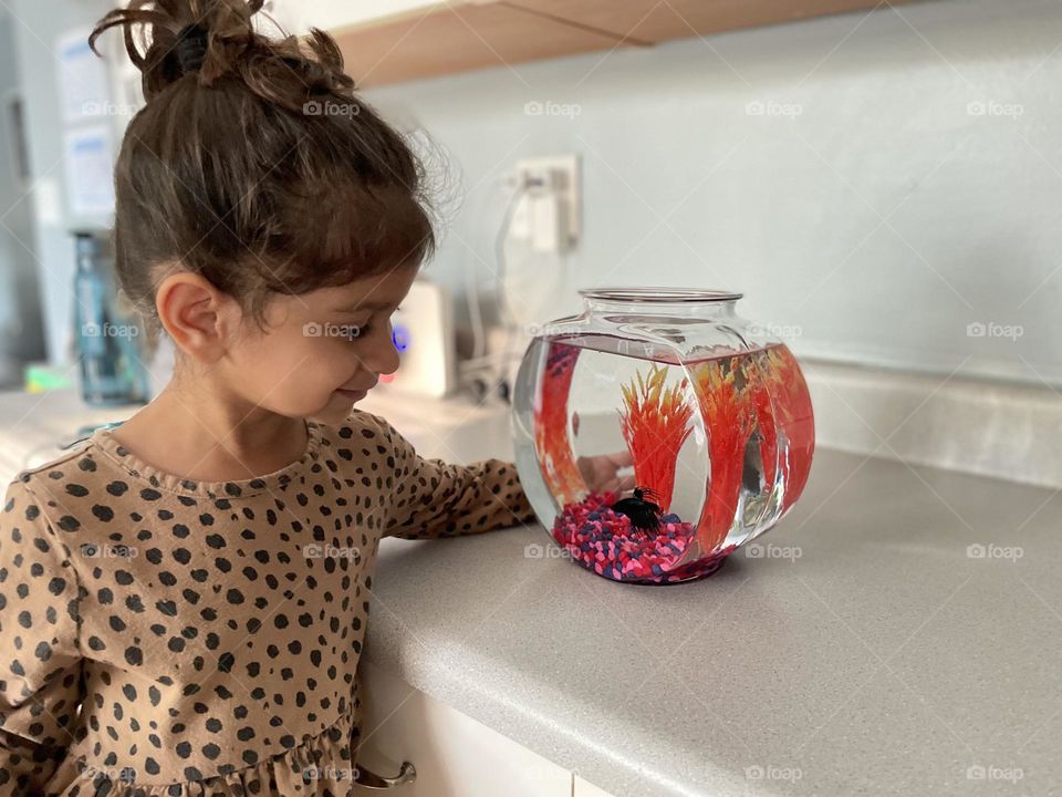 Little girl is very happy with new pet fish, little girl shows mother her fish, talking to her new pet fish 