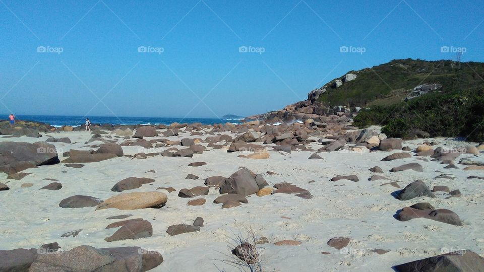 Beach, Water, No Person, Sea, Seashore