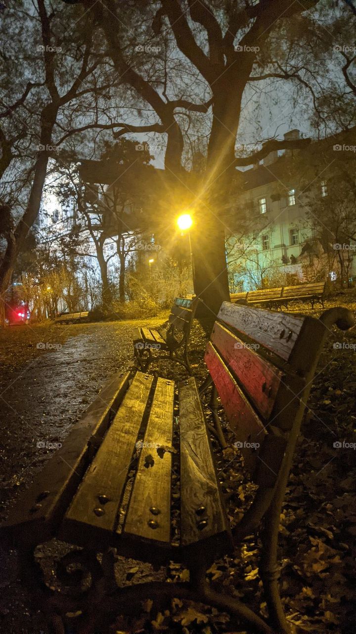 Prague. Twilight. A bench. Lantern.