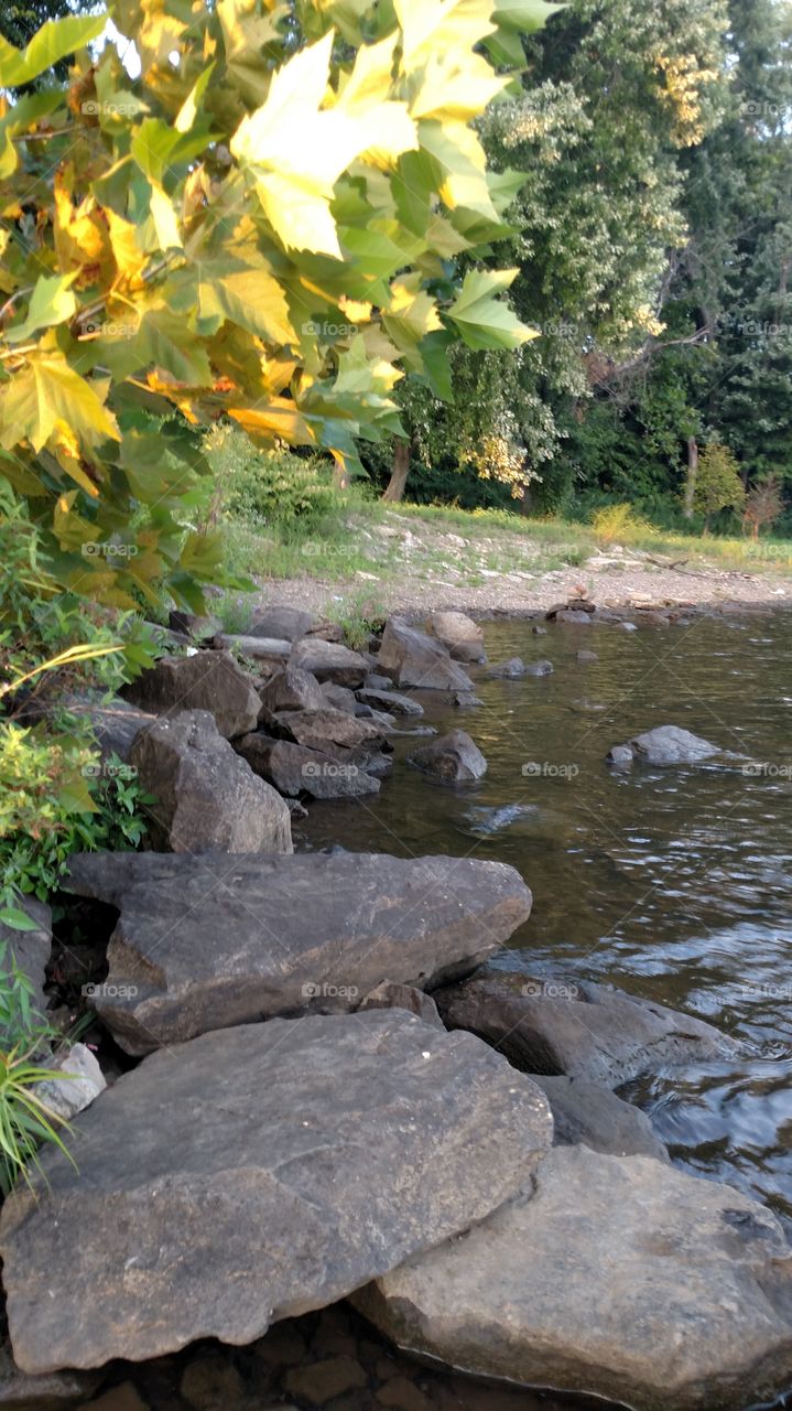 Nature, No Person, Leaf, Water, Outdoors