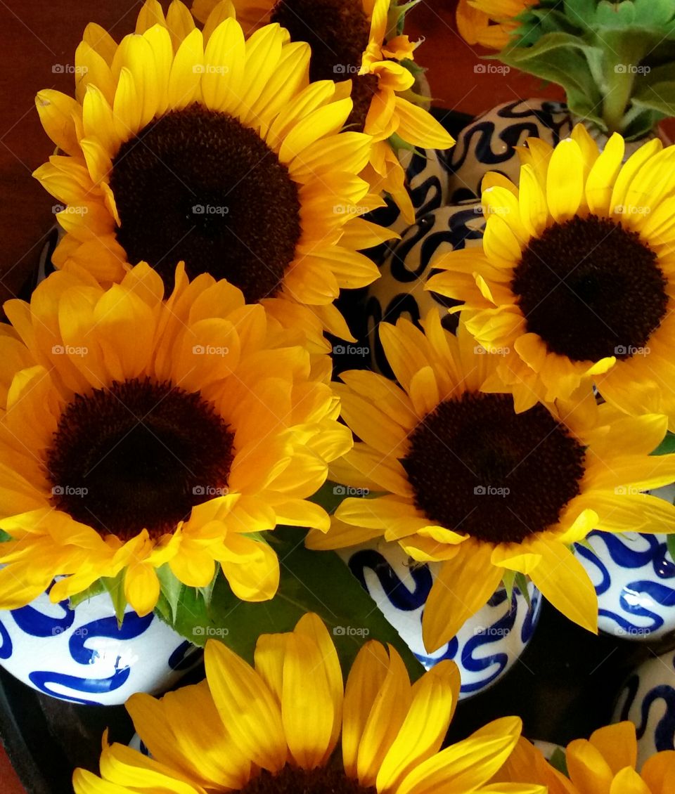 Bright sunflowers in vases. Sunflowers in a party