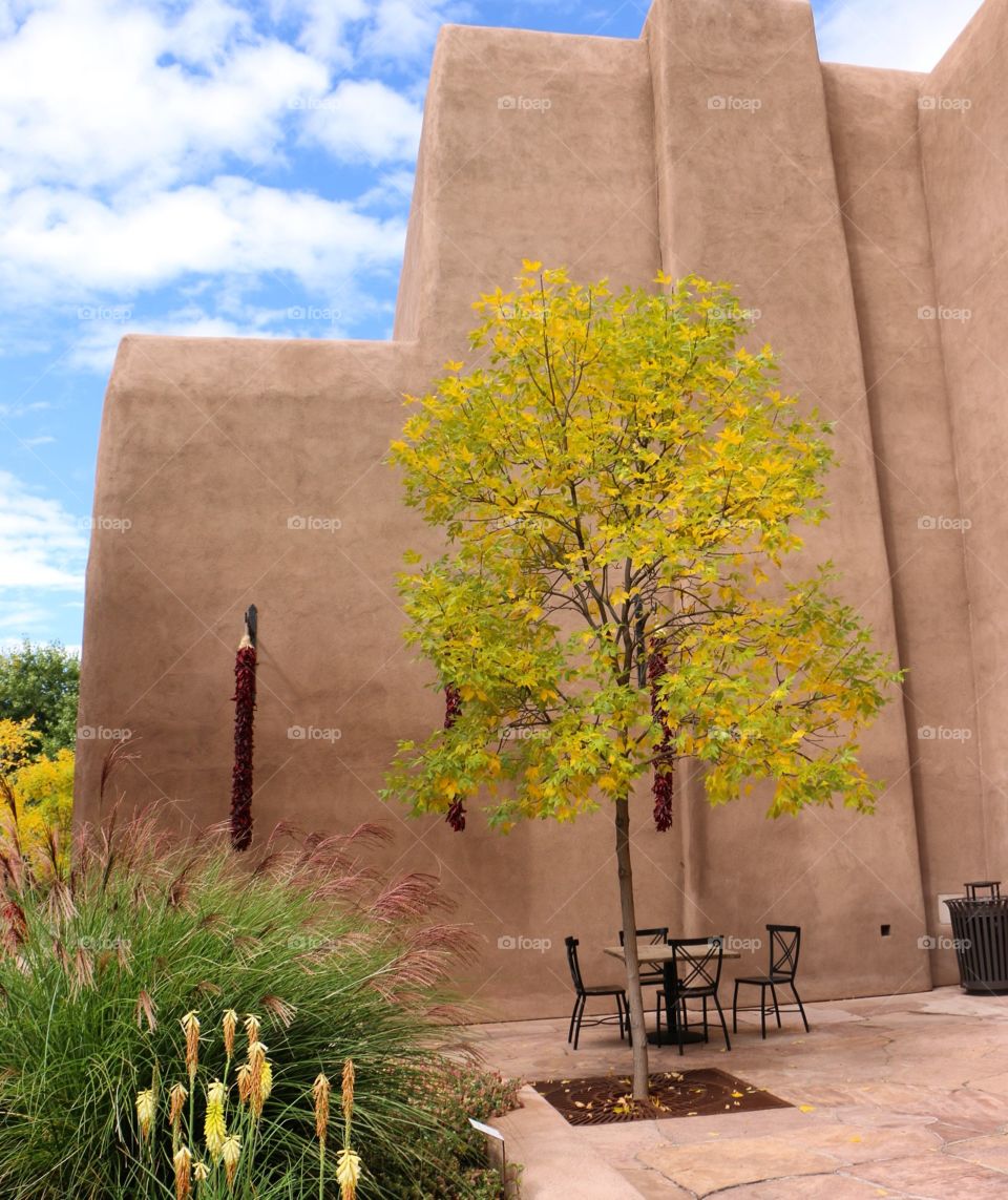 No Person, Outdoors, Nature, Architecture, Travel