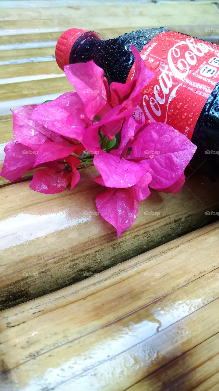 Coca cola