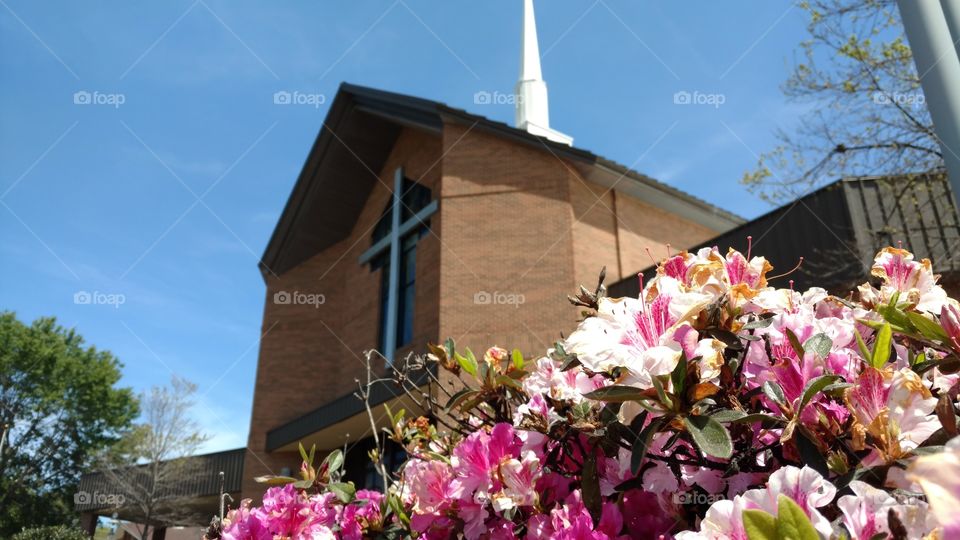 Spring flowers with a brick church with cross and steeple in the background
