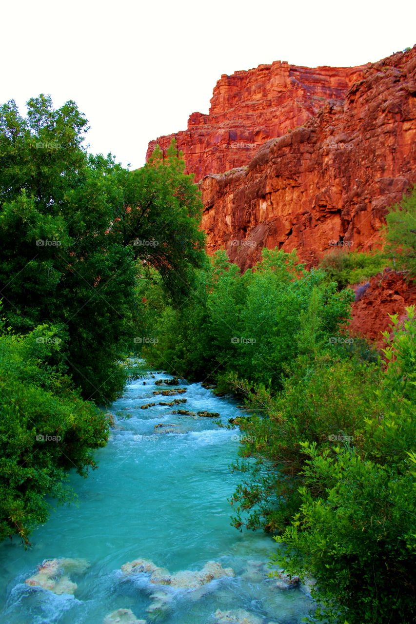 I love the contrasts of colors.  The clouds make the sky look white.