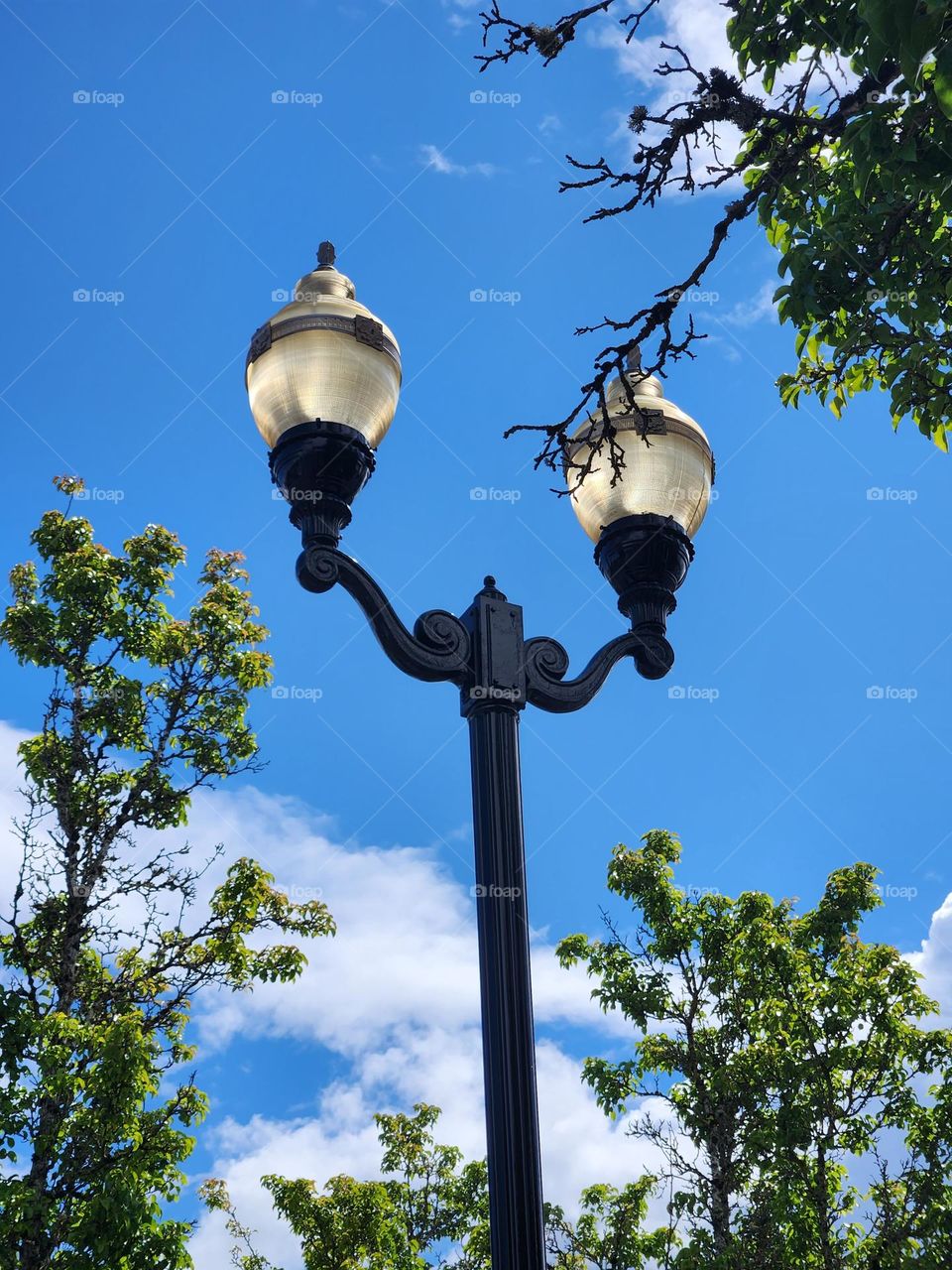 ornate outdoor lamp post against blue sky and trees