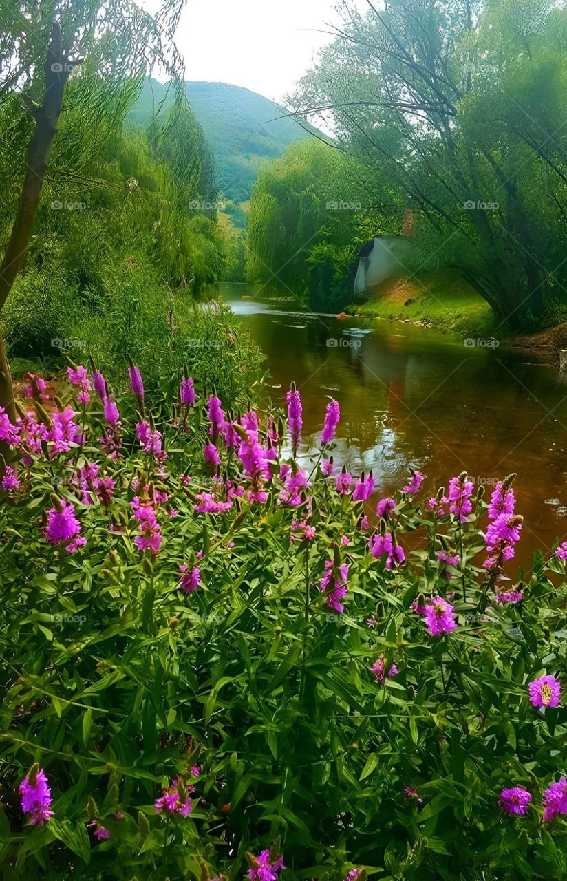 Frumusețea naturii.
