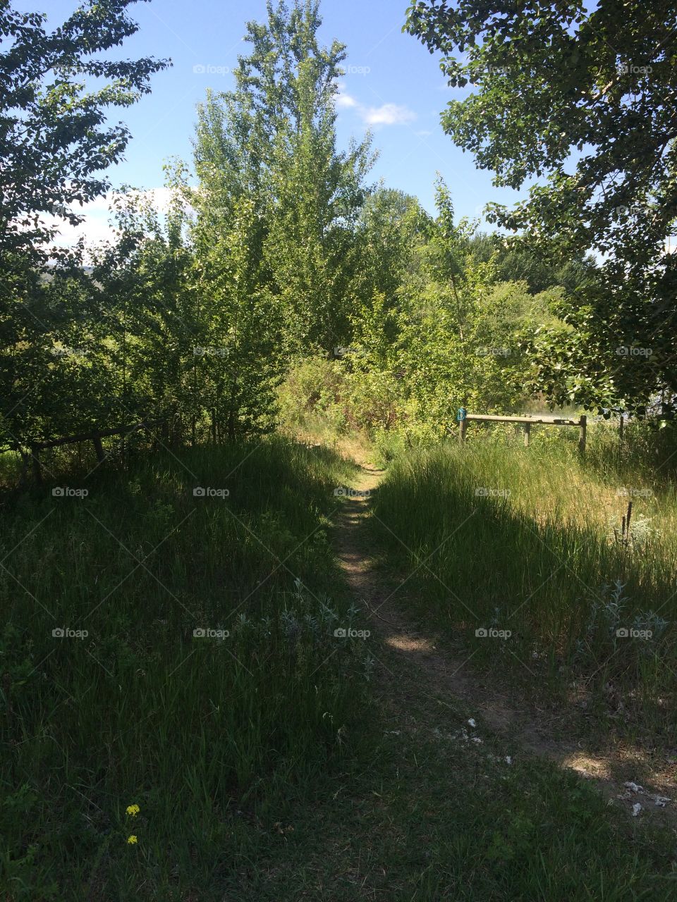 Beautiful scenic nature hike 