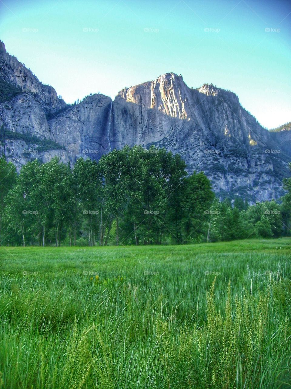 Yosemite National Park