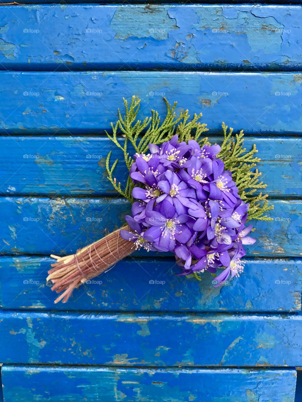 First spring flowers on blue wooden background 