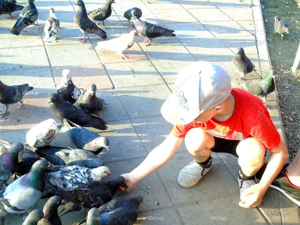 baby feeds the birds