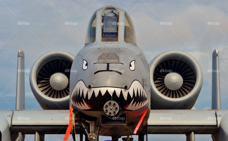 A-10 Warthog Attack Jet