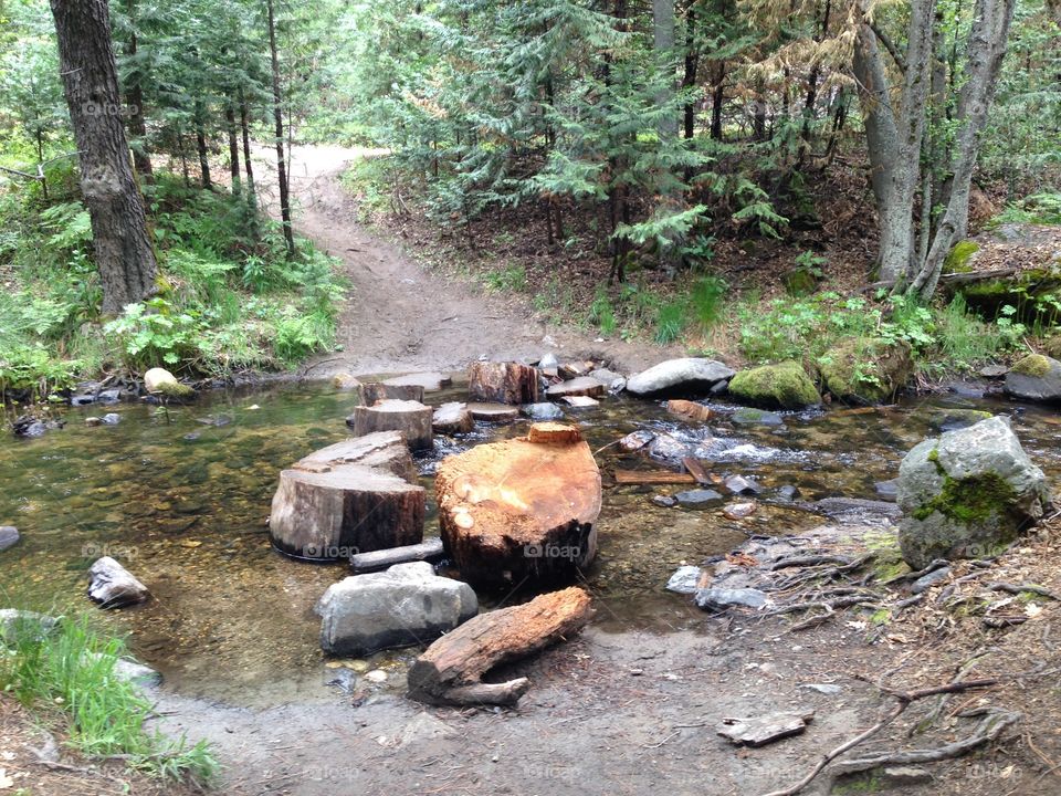 Crossing the stream . Lewis Creek trail 