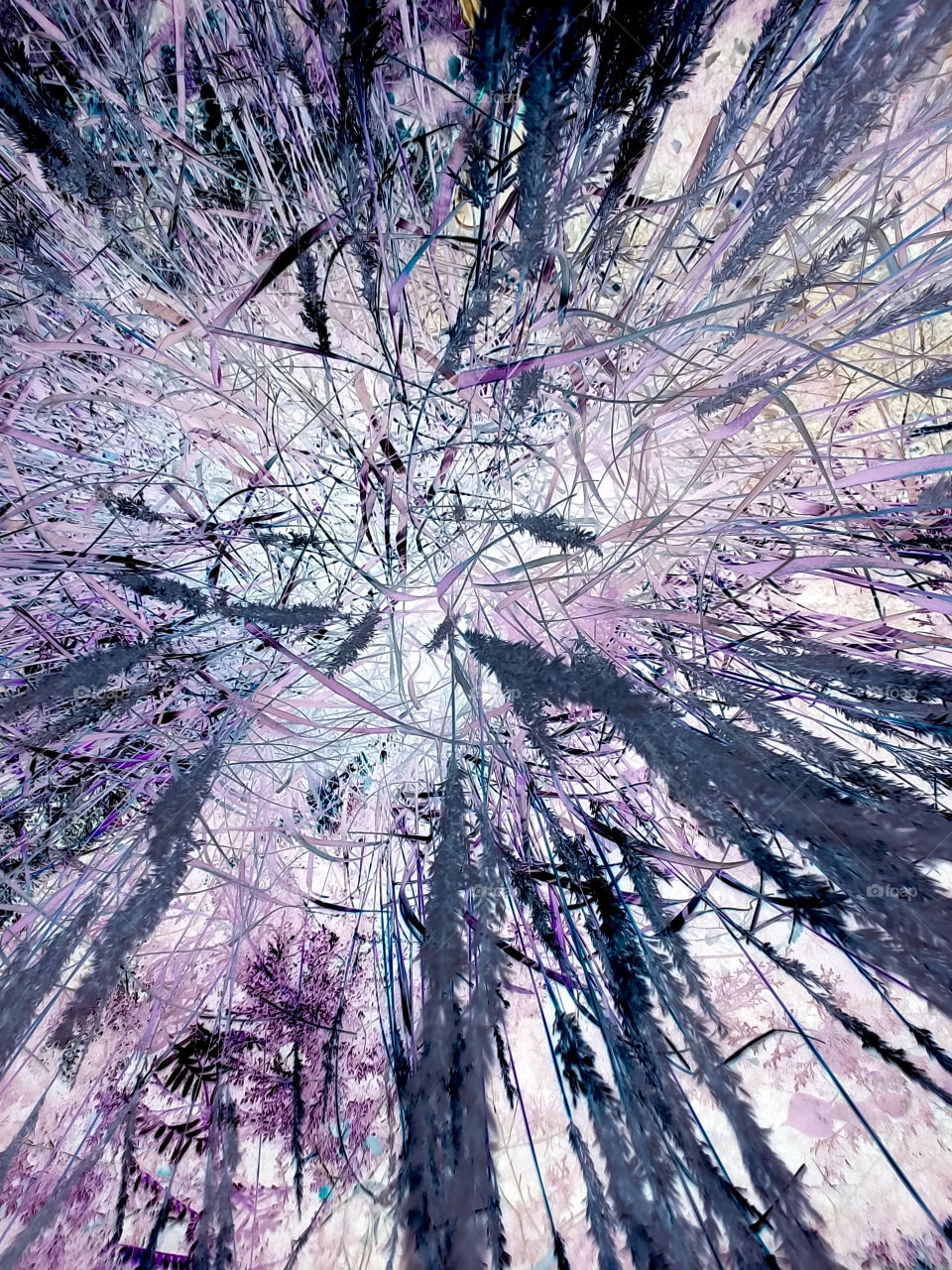 abstract Distractions