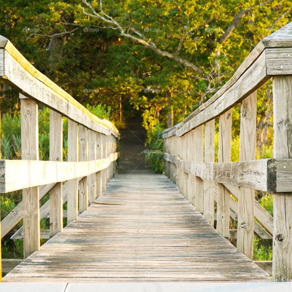 Wooden Bridge leading to a trail