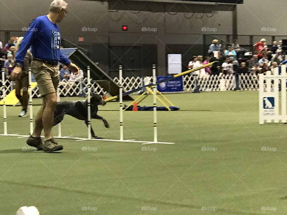 Competition, Game, Athlete, Ball, Stadium