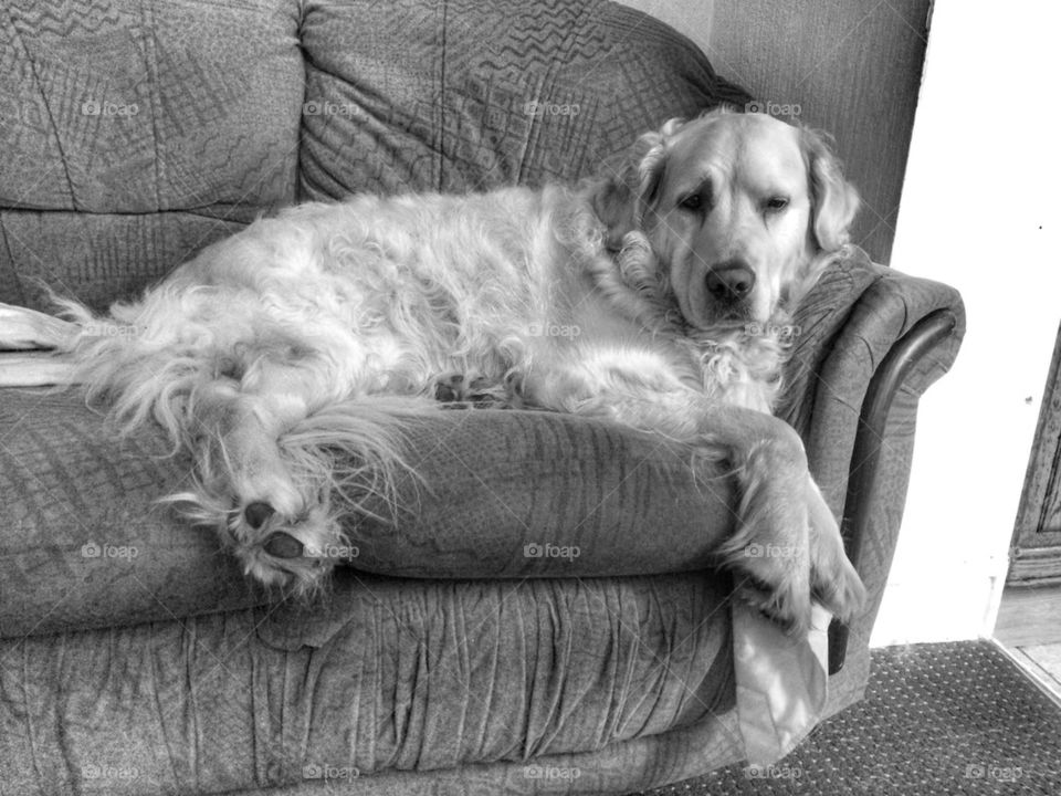 Nocas - just relaxing