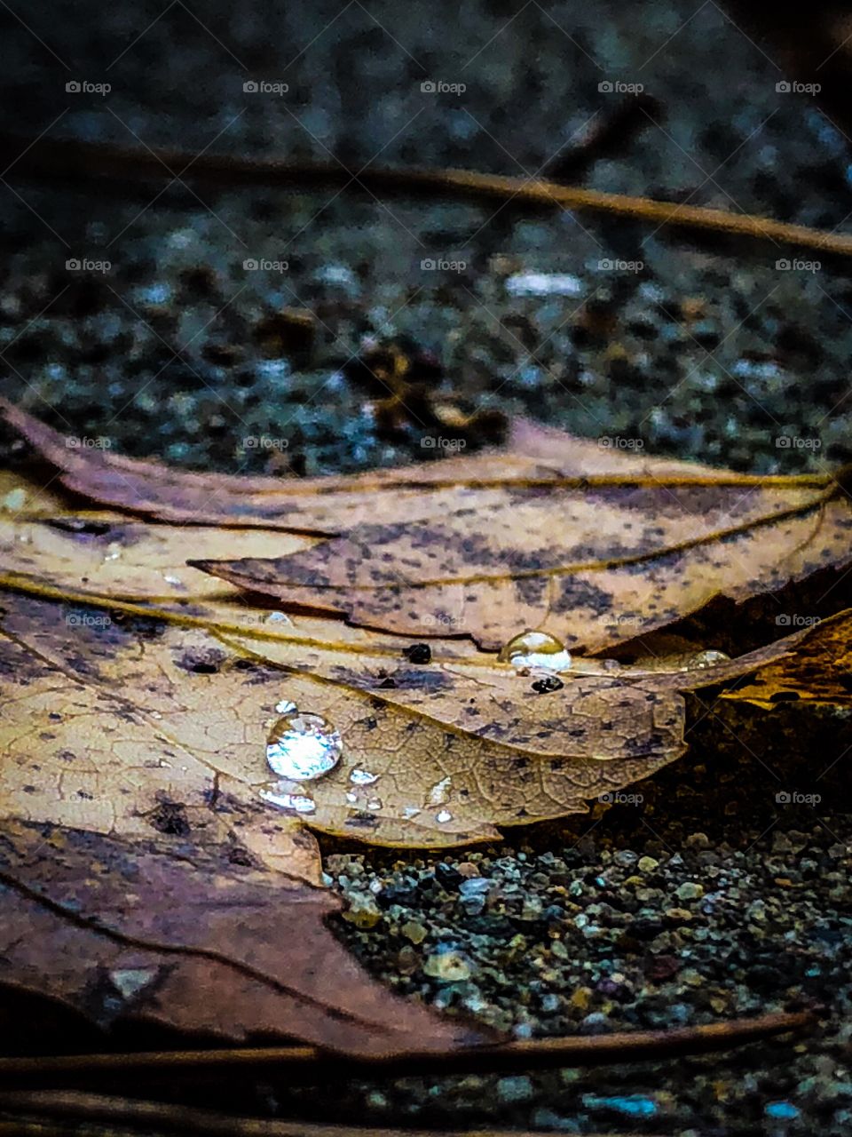 Gemstone droplets 
