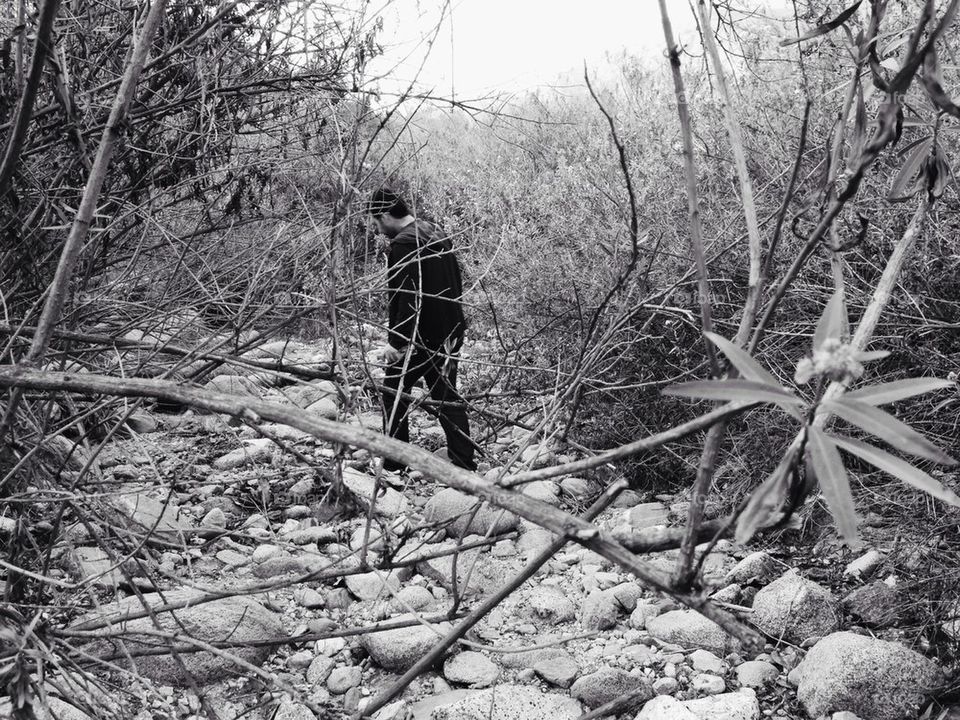 Man walking in woods