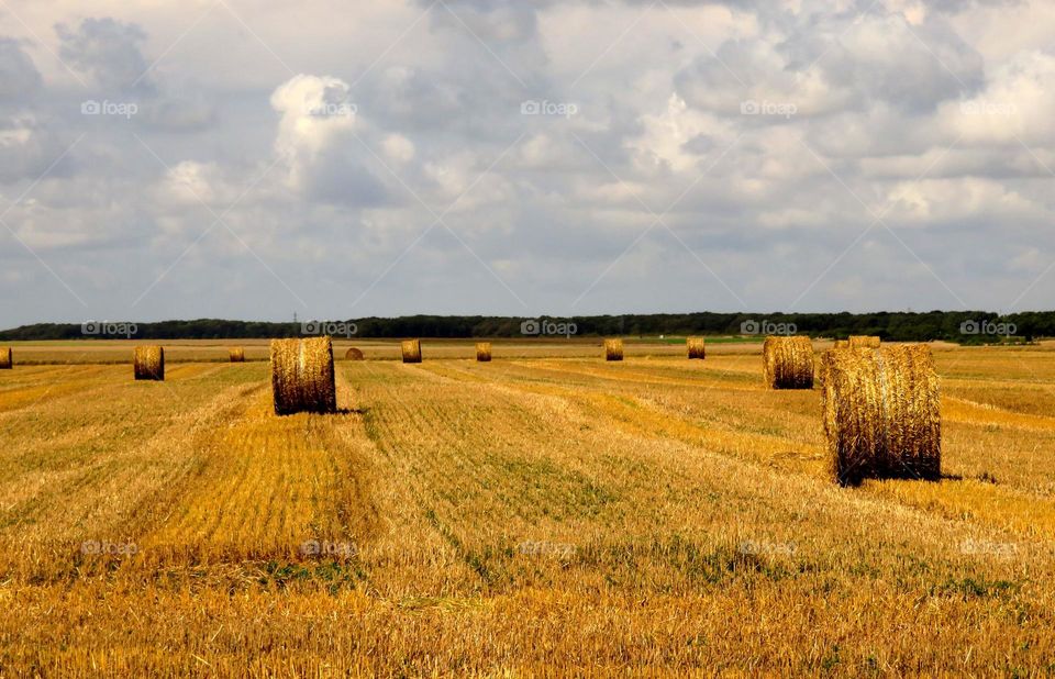 haystacks