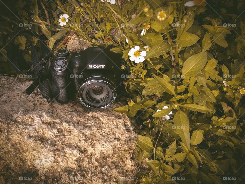 Sony prosumer dsc h300 in the forest, to hunt wildlife photo.