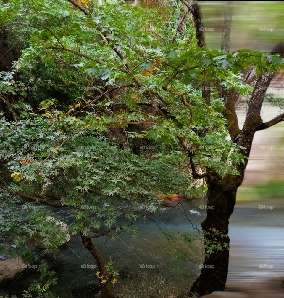 At the riverside,somewhere in Greece