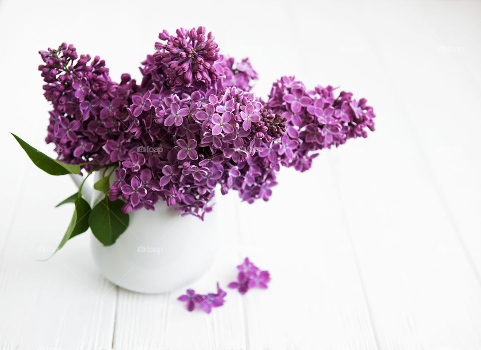 Lilac flowers 