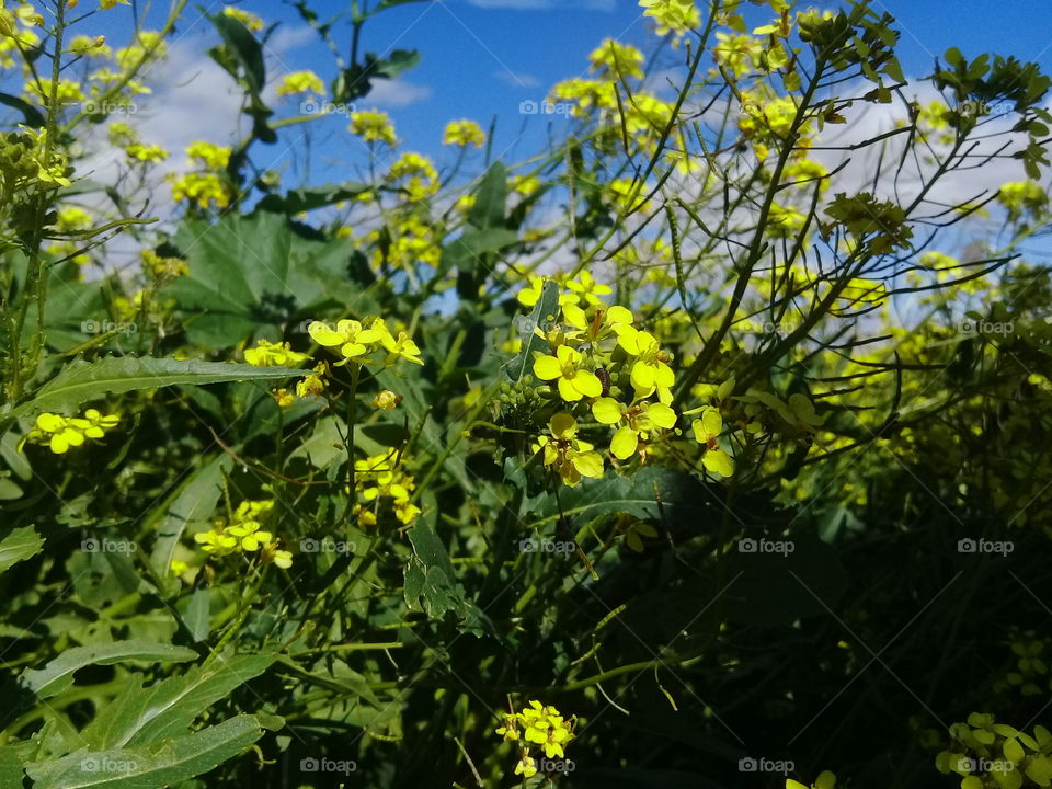 Don't be ashamed to weep; 'tis right to grieve. Tears are only water, and flowers, trees, and fruit cannot grow without water. But there must be sunlight also. A wounded heart will heal in time, and when it does, the memory and love of our lost ones is sealed inside to comfort us.
Brian Jacques, Taggerung (Redwall, #14)
Tags: crying, emotion, emotions, flowers,fruit, growing, nature, sadness, sunlight,tears, trees, water