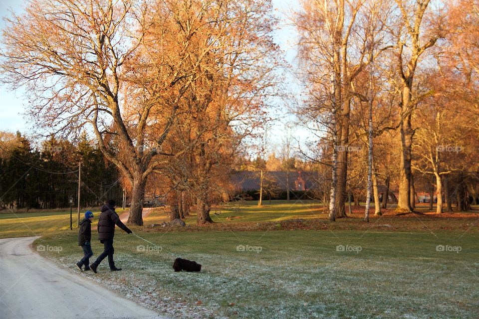 Autumn in the park 